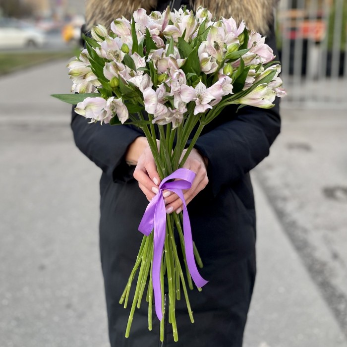 Альстромерия сиреневая