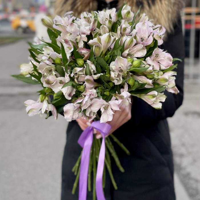 Альстромерия сиреневая