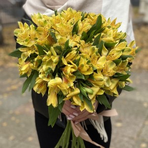 Альстромерия желтая