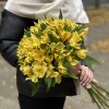 Альстромерия желтая