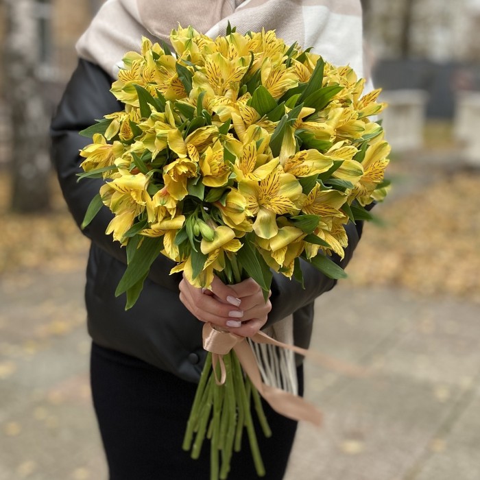 Альстромерия желтая