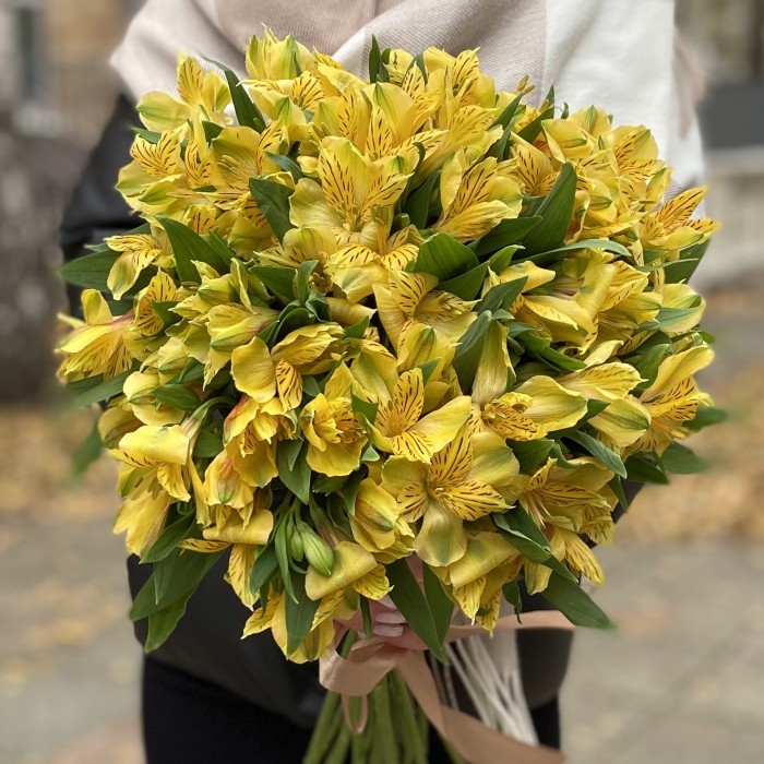 Альстромерия желтая