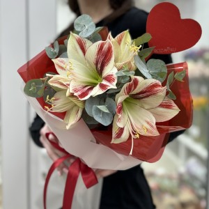 Амариллис с ароматным эвкалиптом