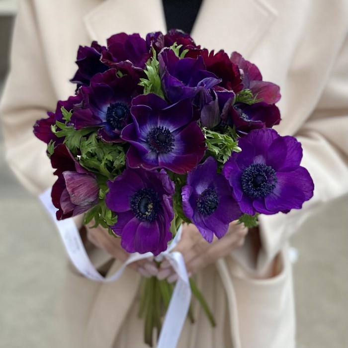 Анемон Фиолетово бордовый