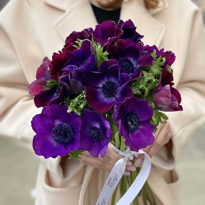 Анемон Фиолетово бордовый