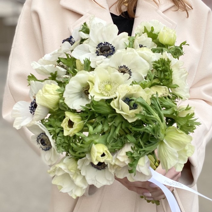 Анемон белый