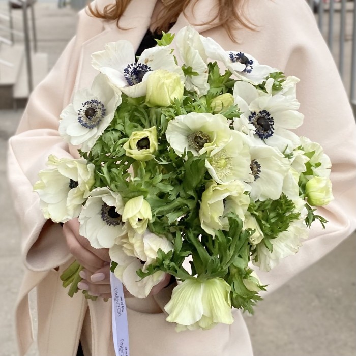 Анемон белый