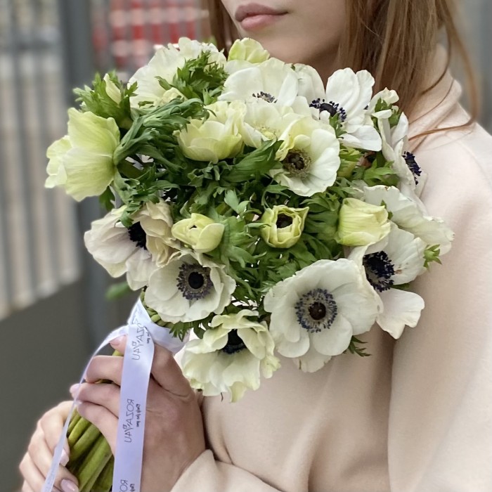 Анемон белый