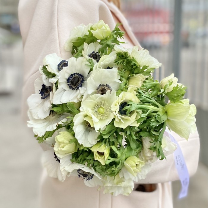 Анемон белый