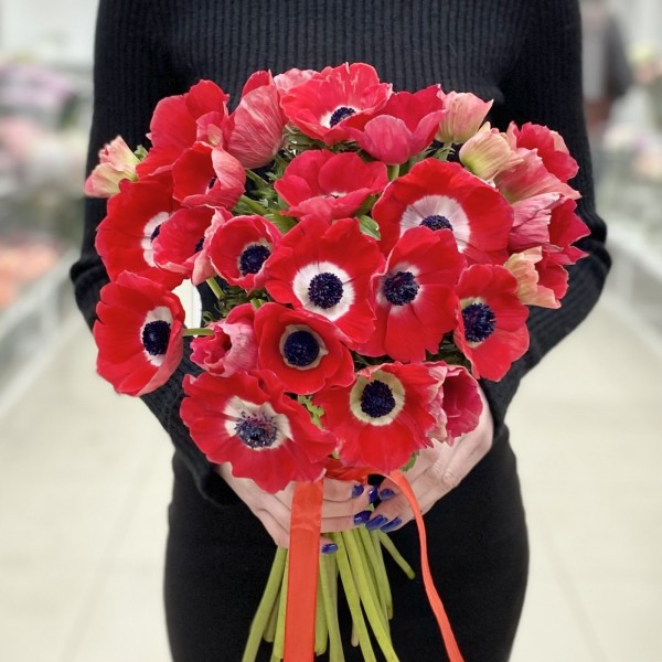 Анемон красный