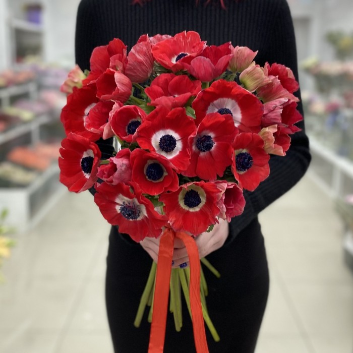 Анемон красный