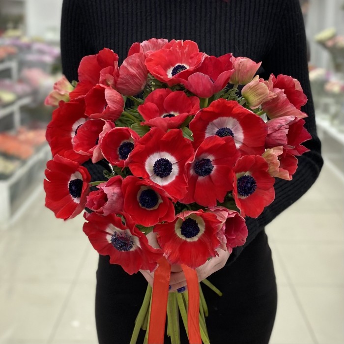 Анемон красный