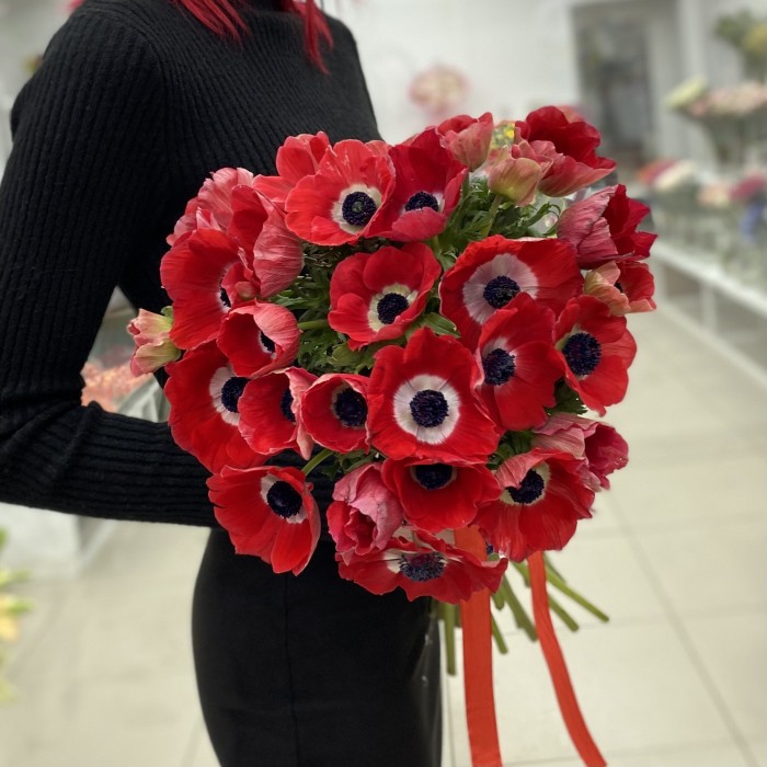 Анемон красный