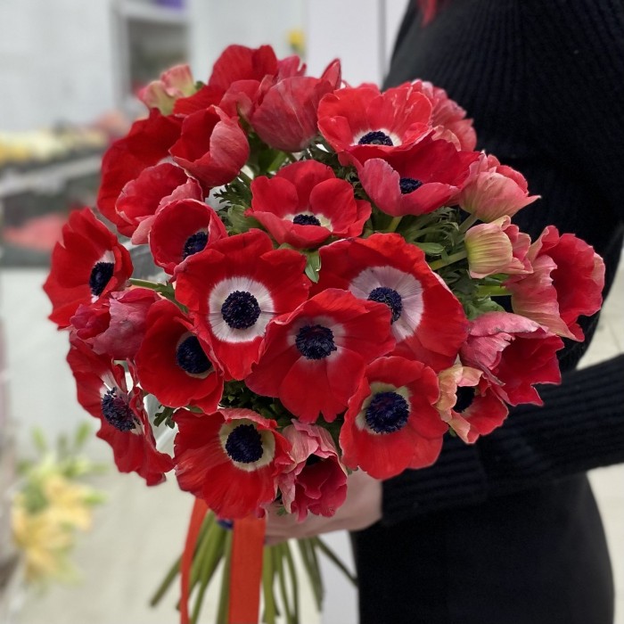 Анемон красный