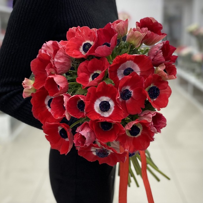 Анемон красный