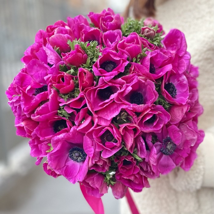 Анемон малиновый