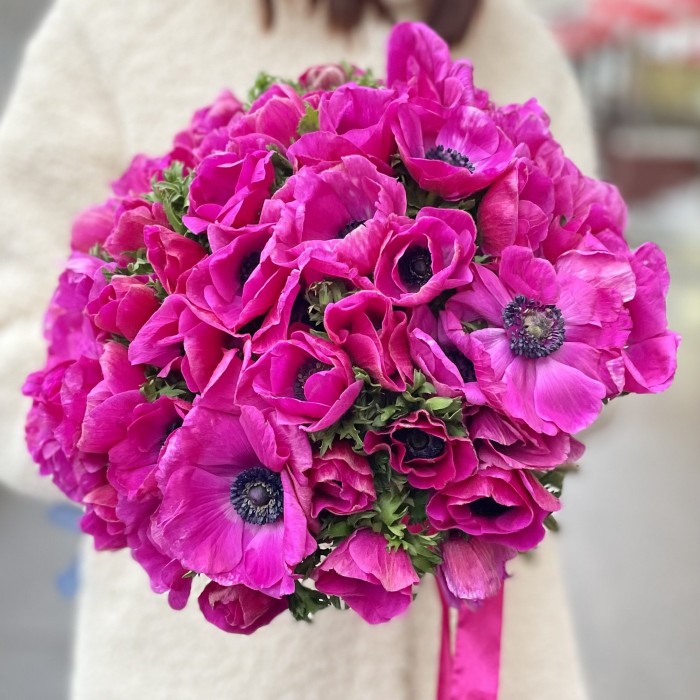 Анемон малиновый