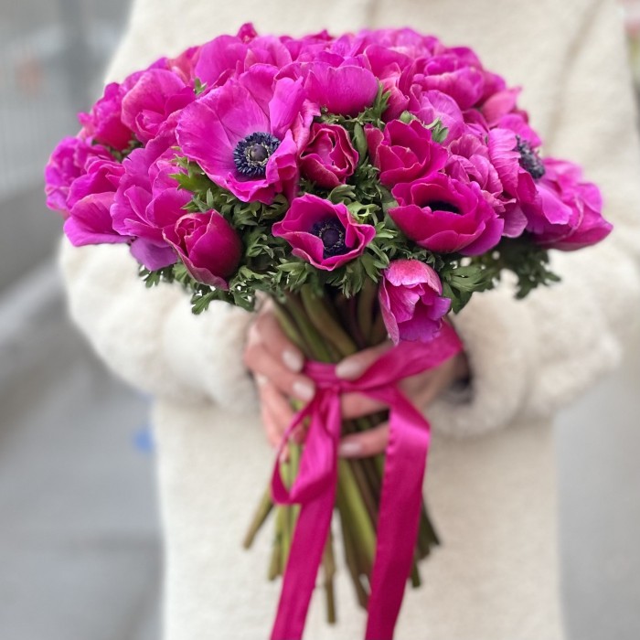 Анемон малиновый