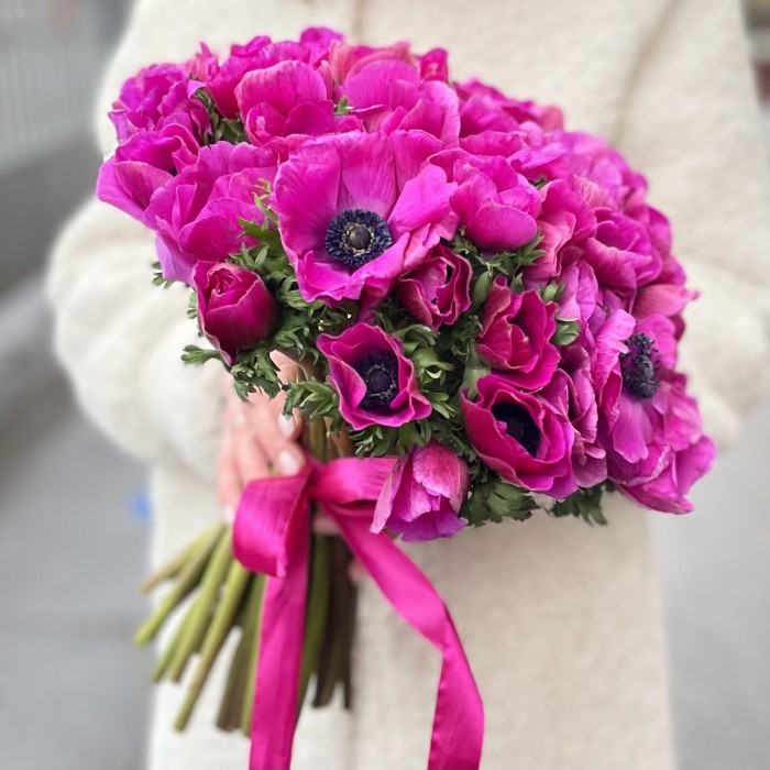 Анемон малиновый