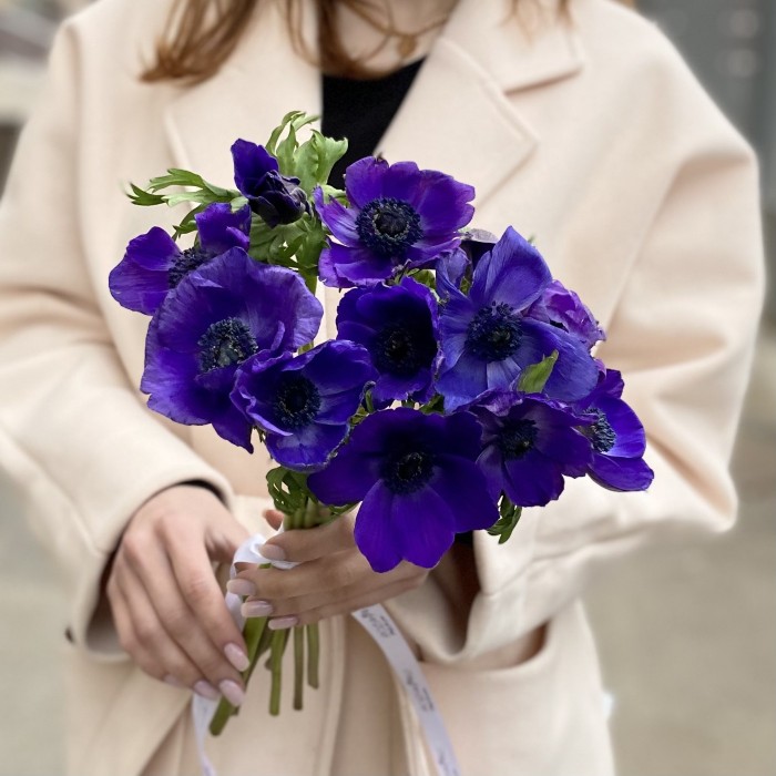 Анемон синий