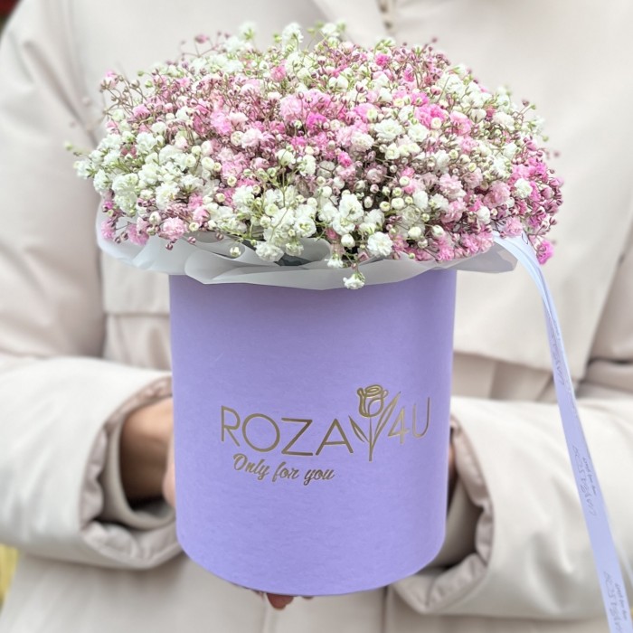 Белая и розовая гипсофила в коробке