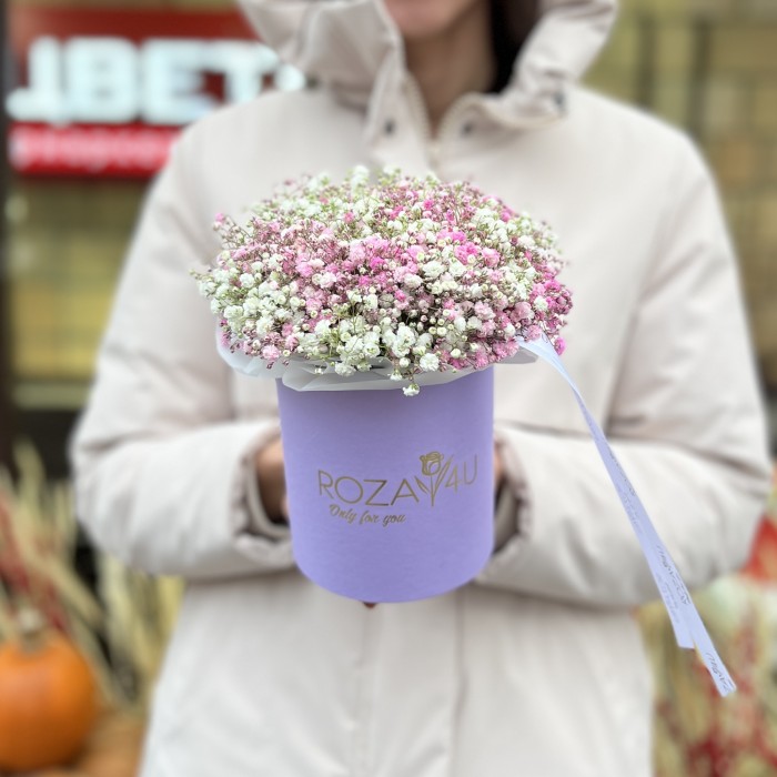 Белая и розовая гипсофила в коробке