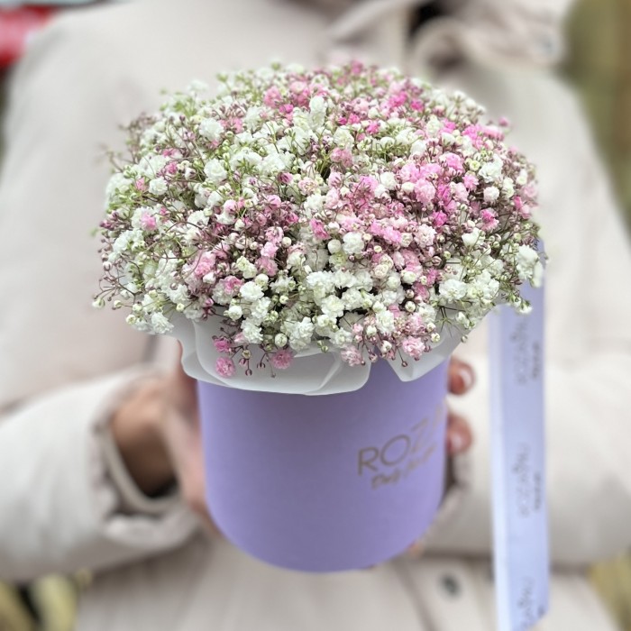 Белая и розовая гипсофила в коробке