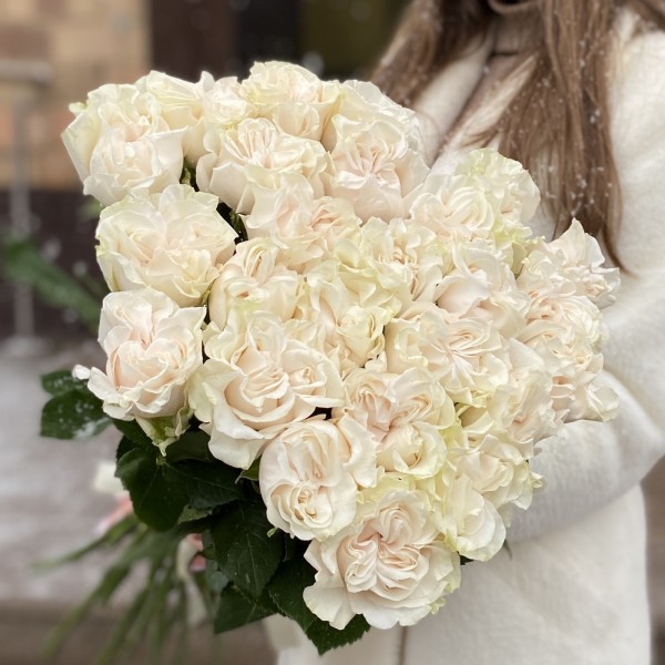 Белая Роза Коттон Экспрешн