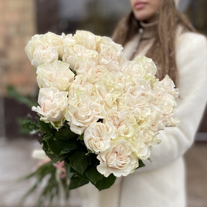 Белая Роза Коттон Экспрешн