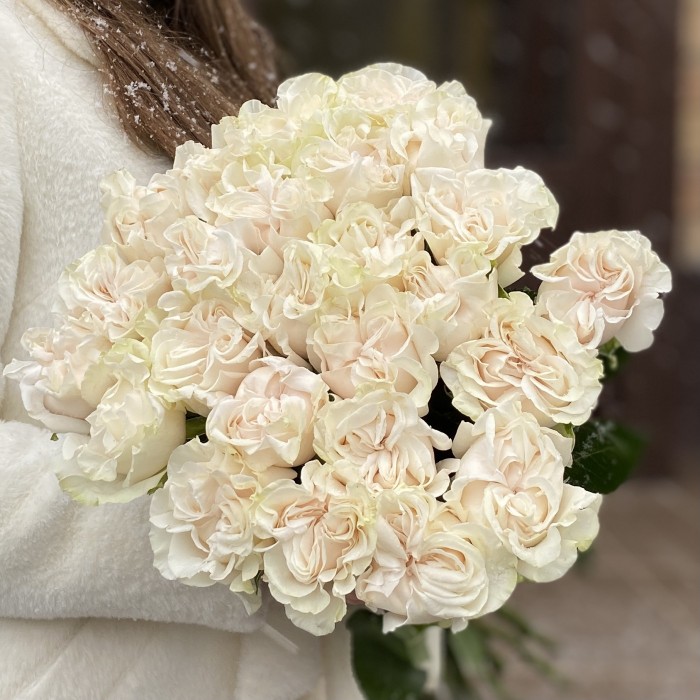 Белая Роза Коттон Экспрешн