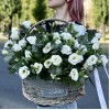 Белая эустома в корзине с эвкалиптом