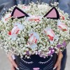 Белая гипсофила в коробке Кошечка с конфетами