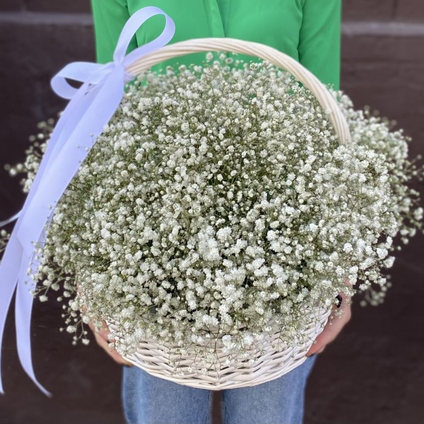 Белая гипсофила в корзине