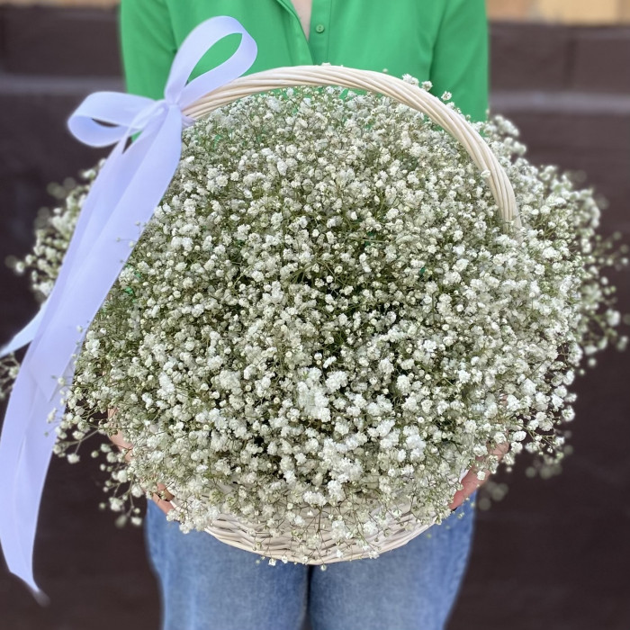 Белая гипсофила в корзине