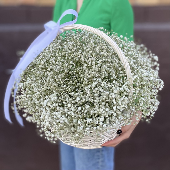 Белая гипсофила в корзине