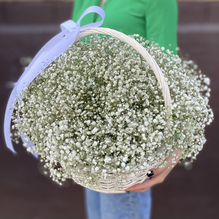Белая гипсофила в корзине