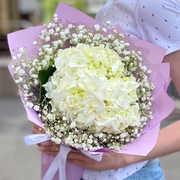 Белая гортензия с гипсофилой