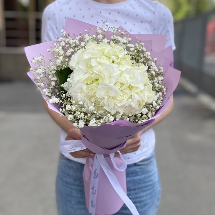 Белая гортензия с гипсофилой