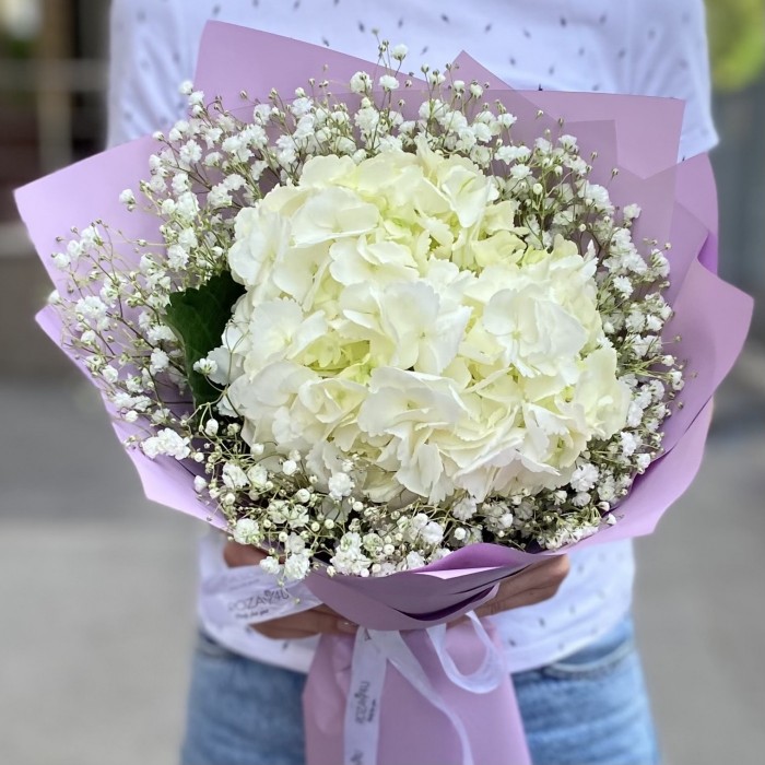 Белая гортензия с гипсофилой