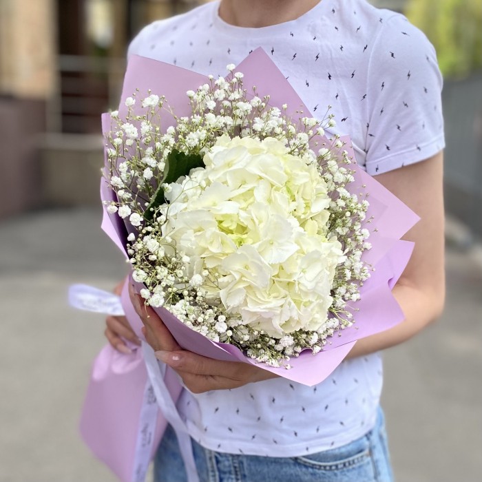 Белая гортензия с гипсофилой