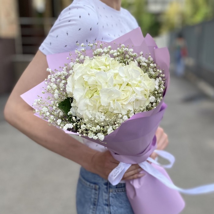 Белая гортензия с гипсофилой