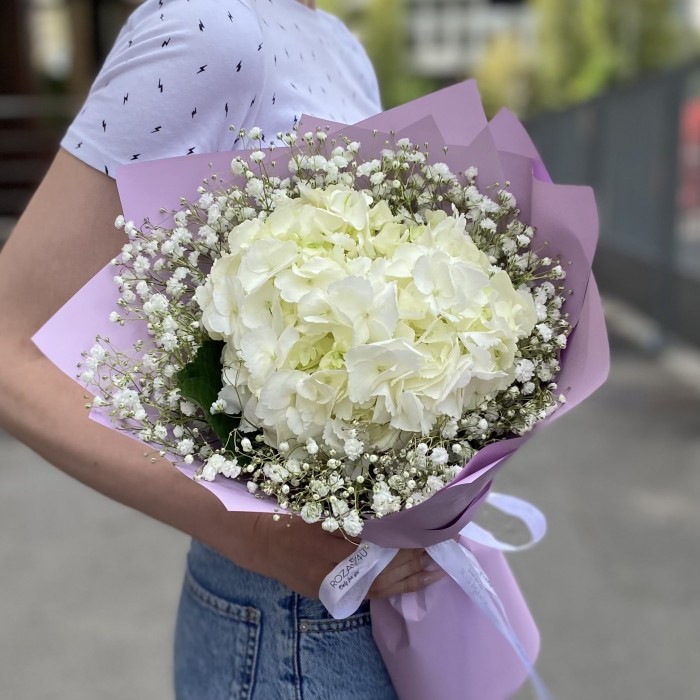 Белая гортензия с гипсофилой