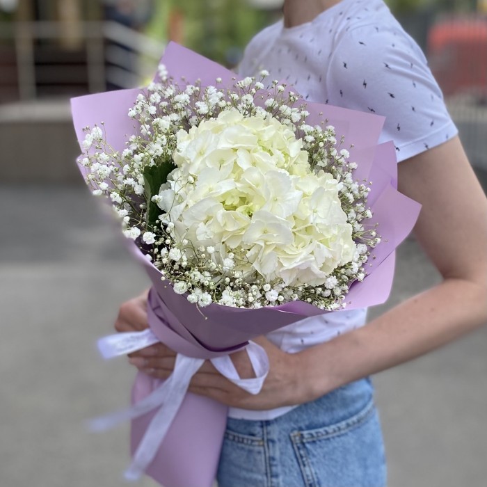 Белая гортензия с гипсофилой