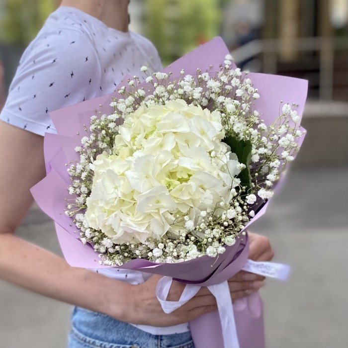 Белая гортензия с гипсофилой