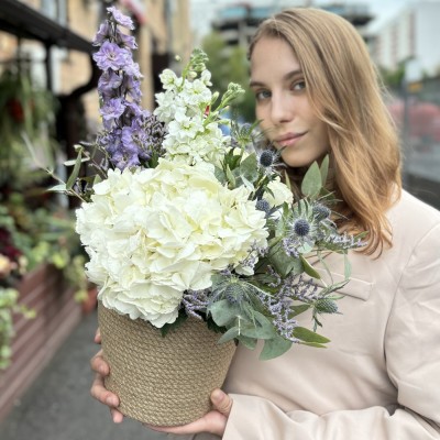 Белая гортензия с маттиолой в кашпо