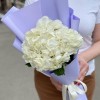 Гортензия Вайт Глиттер в упаковке