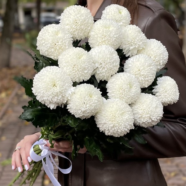 Белые хризантемы Помпон Супербоул
