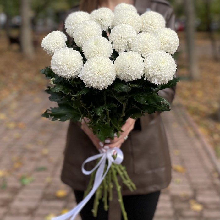 Белые хризантемы Помпон Супербоул