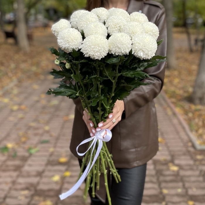 Белые хризантемы Помпон Супербоул