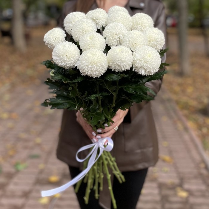 Белые хризантемы Помпон Супербоул